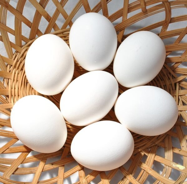 Eggs